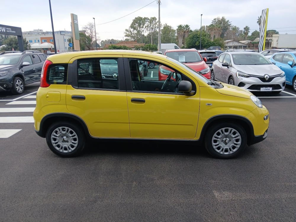 Fiat Panda nuova a Latina (8)