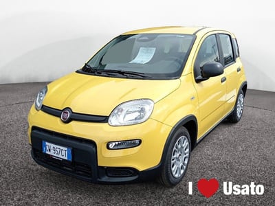 Fiat Panda 1.0 firefly hybrid s&amp;s 70cv 5p.ti nuova a Latina