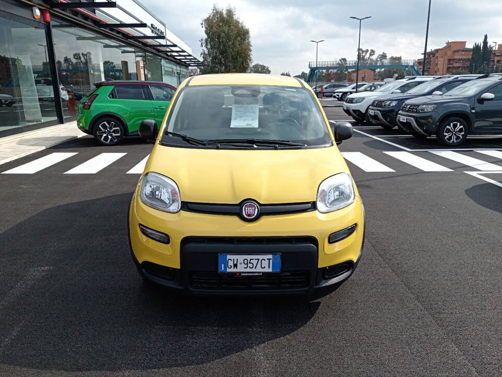 Fiat Panda nuova a Latina (6)