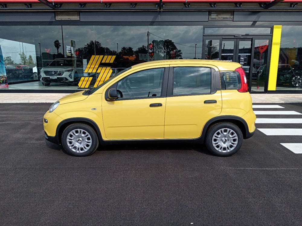 Fiat Panda nuova a Latina (7)