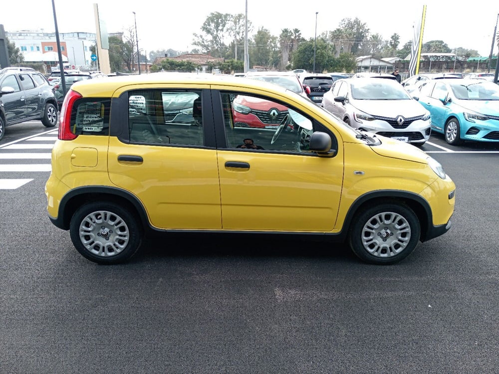 Fiat Panda nuova a Latina (8)