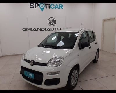 Fiat Panda 1.0 firefly hybrid s&amp;s 70cv 5p.ti del 2022 usata a Alessandria