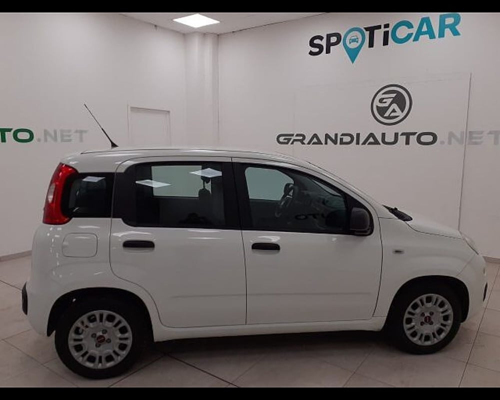 Fiat Panda usata a Alessandria (5)