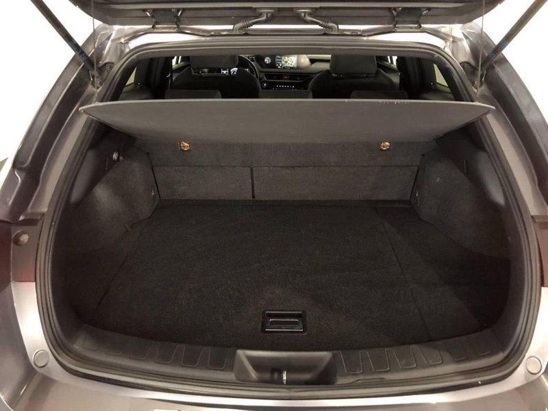 Lexus UX usata a Torino (14)