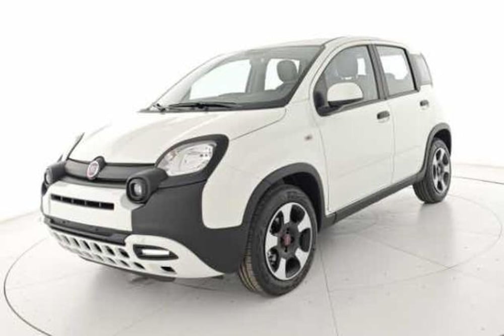 Fiat Panda usata a Vicenza