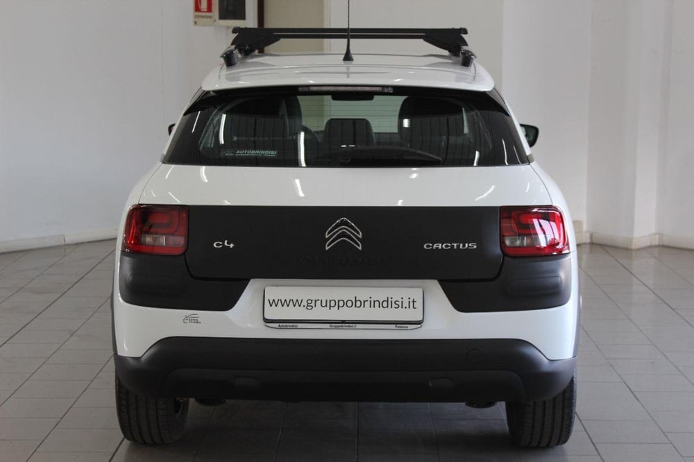 Citroen C4 Cactus usata a Potenza (5)