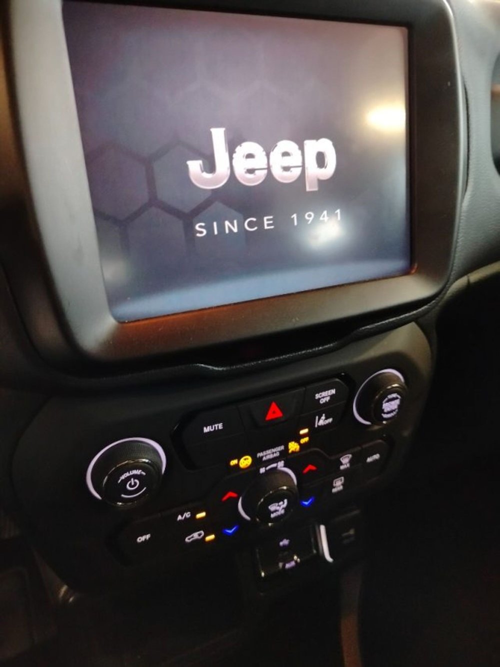 Jeep Renegade usata a Forlì-Cesena (18)