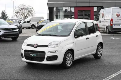 Fiat Panda 1.0 firefly hybrid s&amp;s 70cv 5p.ti del 2021 usata a Pianezza