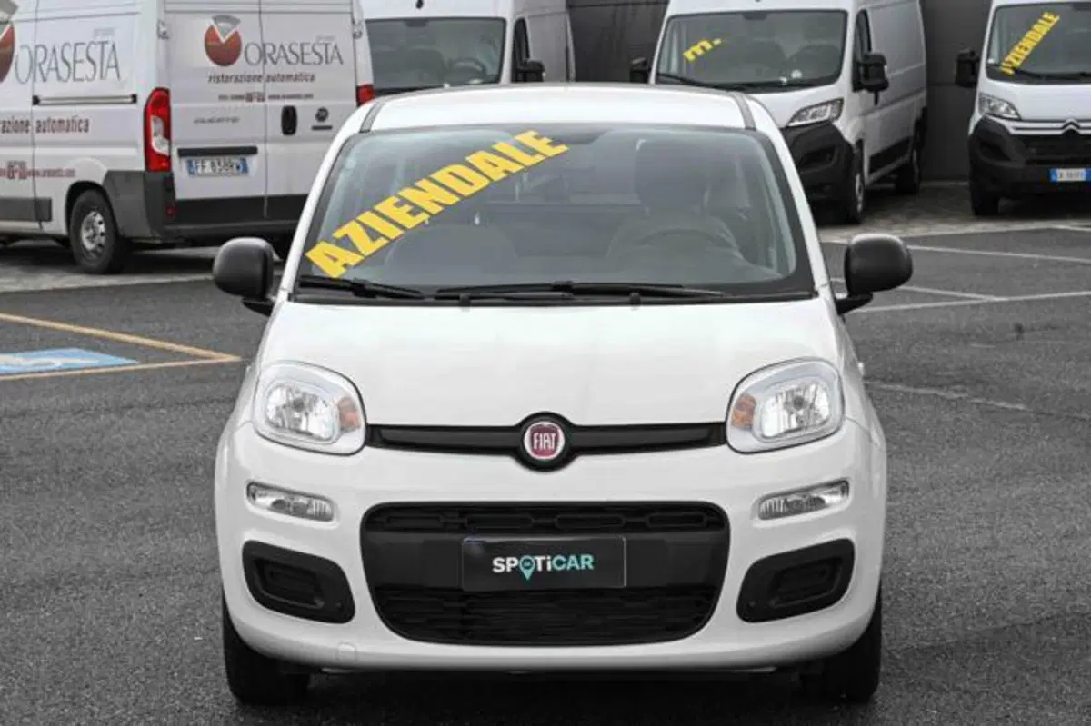 Fiat Panda usata a Torino (18)