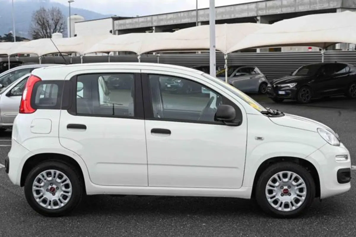 Fiat Panda usata a Torino (20)