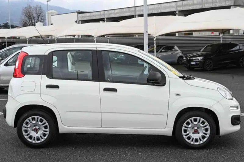 Fiat Panda usata a Torino (4)
