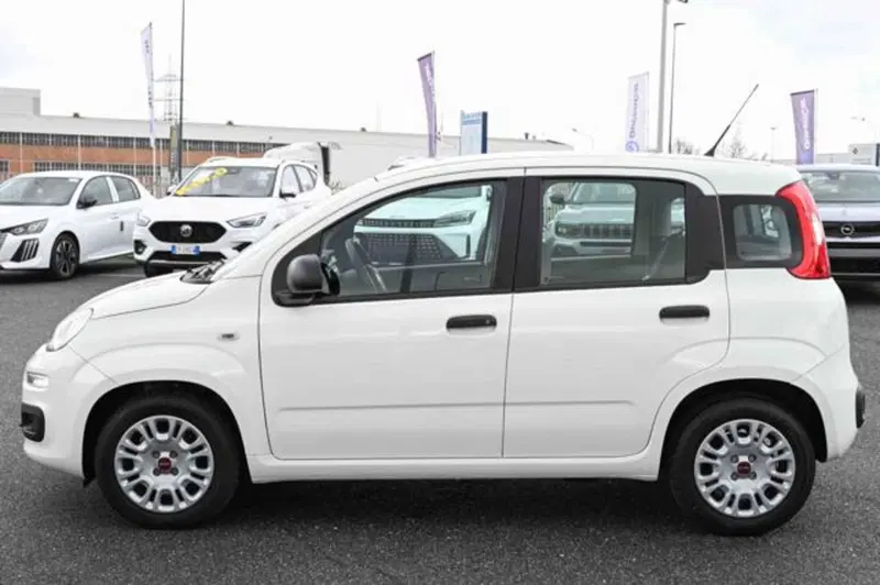 Fiat Panda usata a Torino (8)