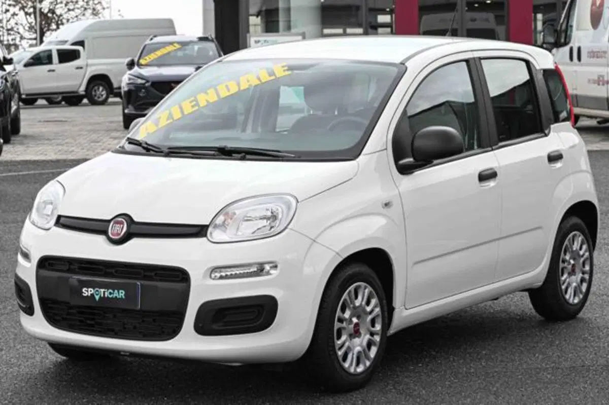 Fiat Panda usata a Torino
