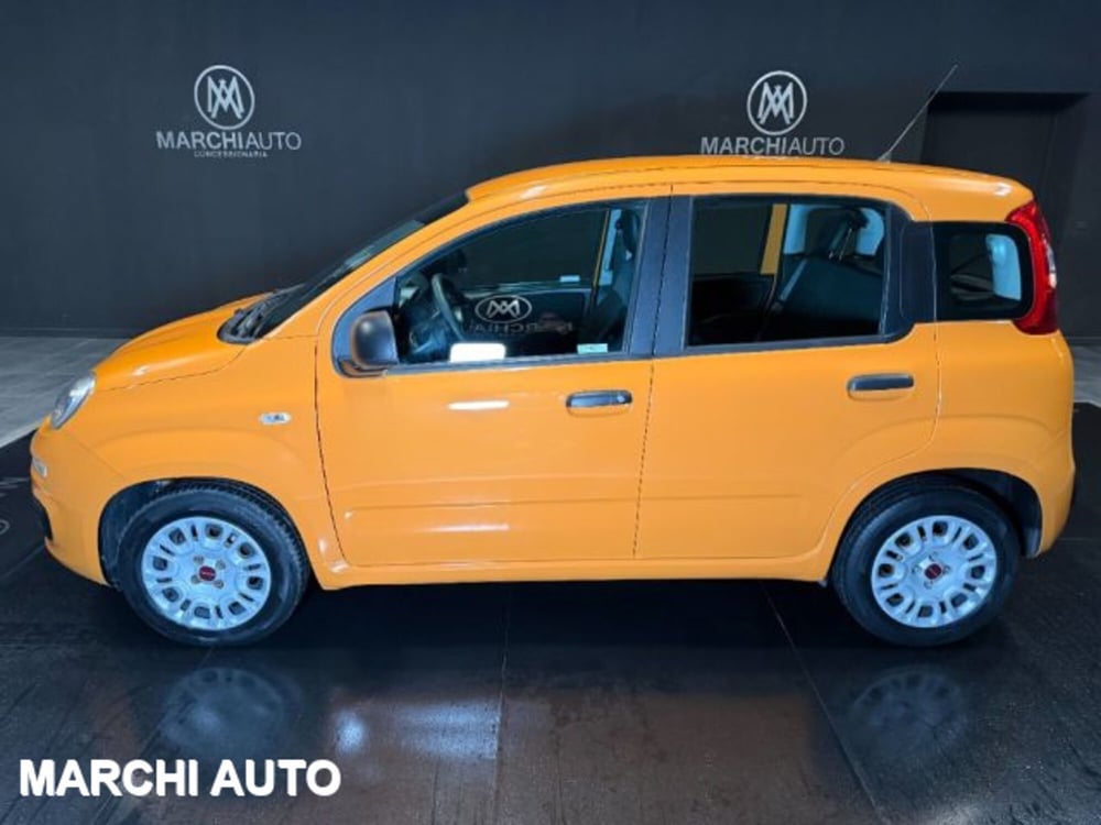 Fiat Panda usata a Perugia (8)