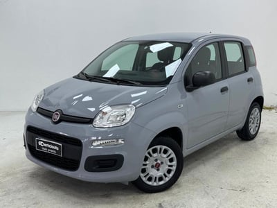 Fiat Panda 1.2 Pop  del 2016 usata a Lurate Caccivio