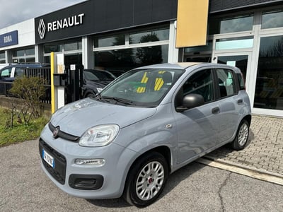 Fiat Panda 1.2 Easy  del 2019 usata a Lissone