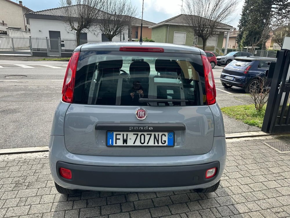 Fiat Panda usata a Monza e Brianza (4)