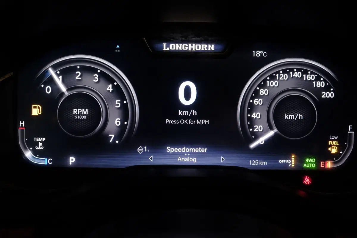 Ram Ram Pick-up nuova a Torino (15)