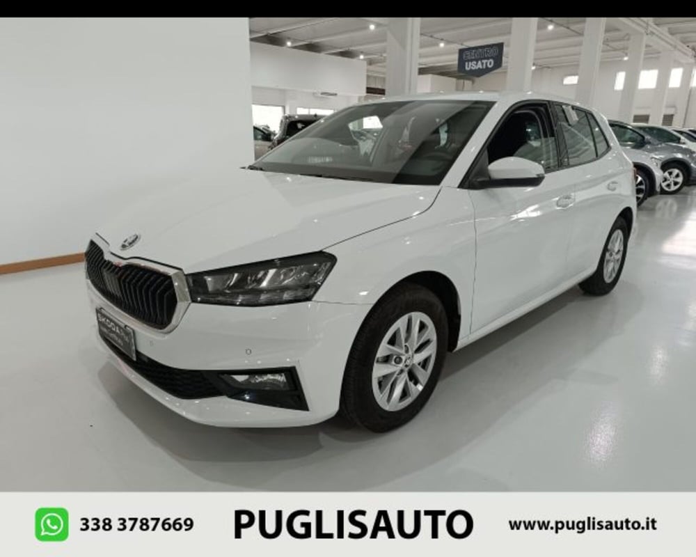 Skoda Fabia usata a Catania (3)
