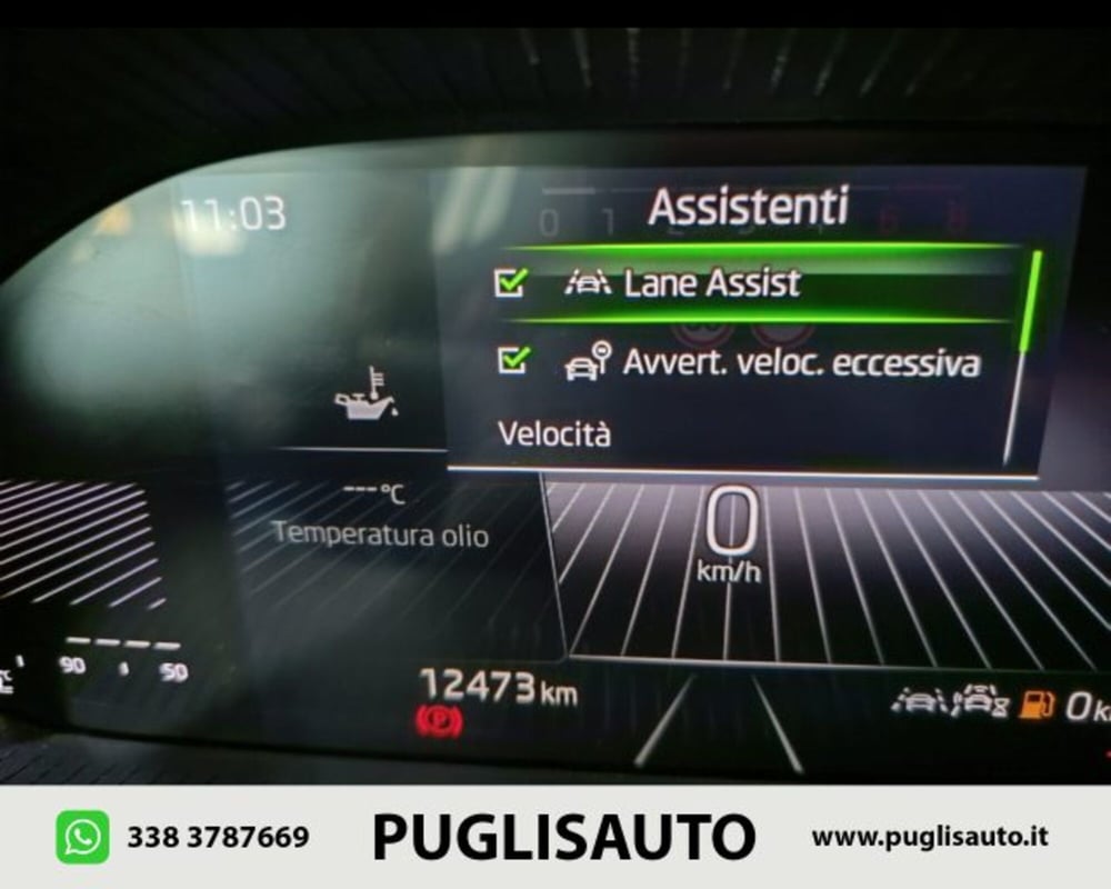 Skoda Fabia usata a Catania (9)