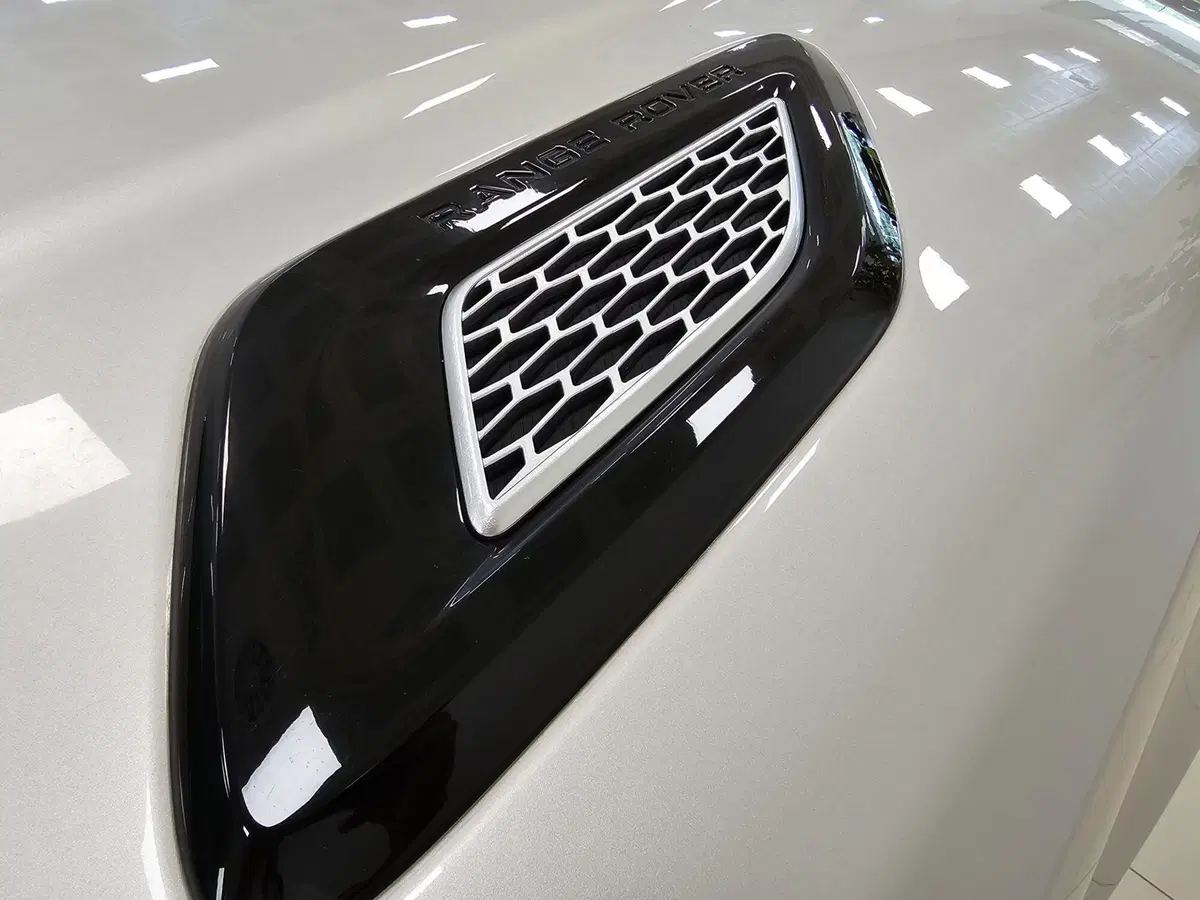 Land Rover Range Rover Sport usata a Lodi (18)