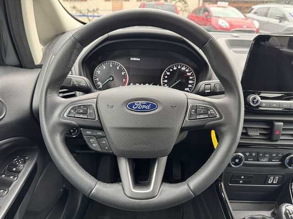 Ford EcoSport usata a Torino (11)