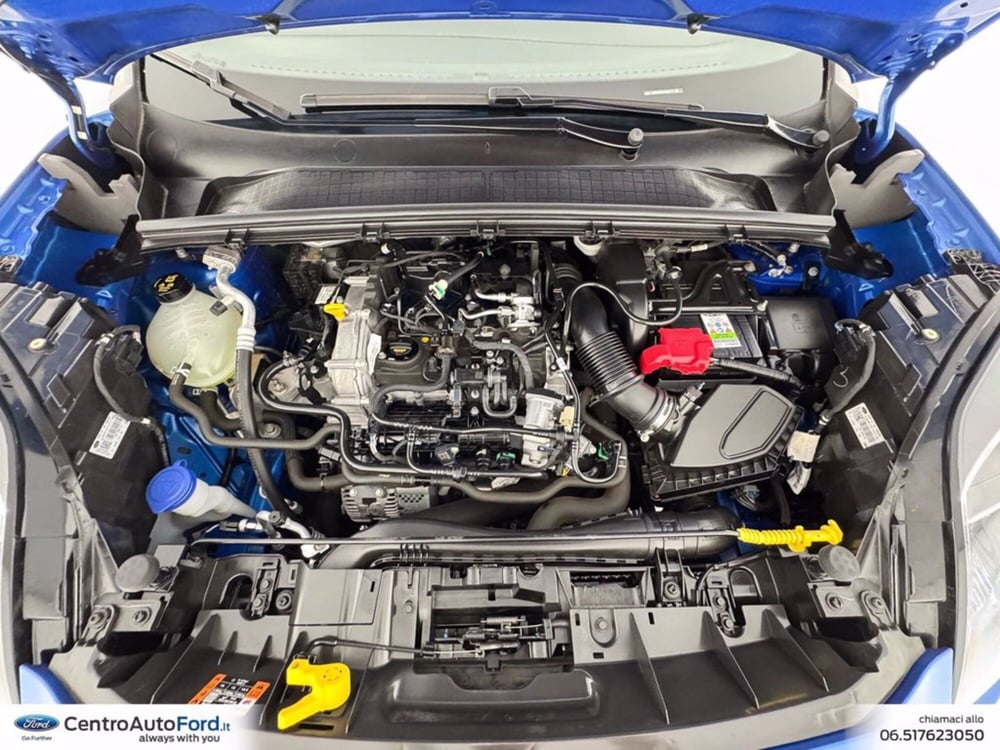 Ford Puma usata a Roma (11)