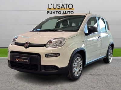 Fiat Panda 1.0 firefly hybrid s&amp;s 70cv 5p.ti nuova a Ancona