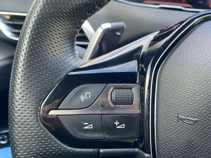 Peugeot 5008 usata a Torino (13)
