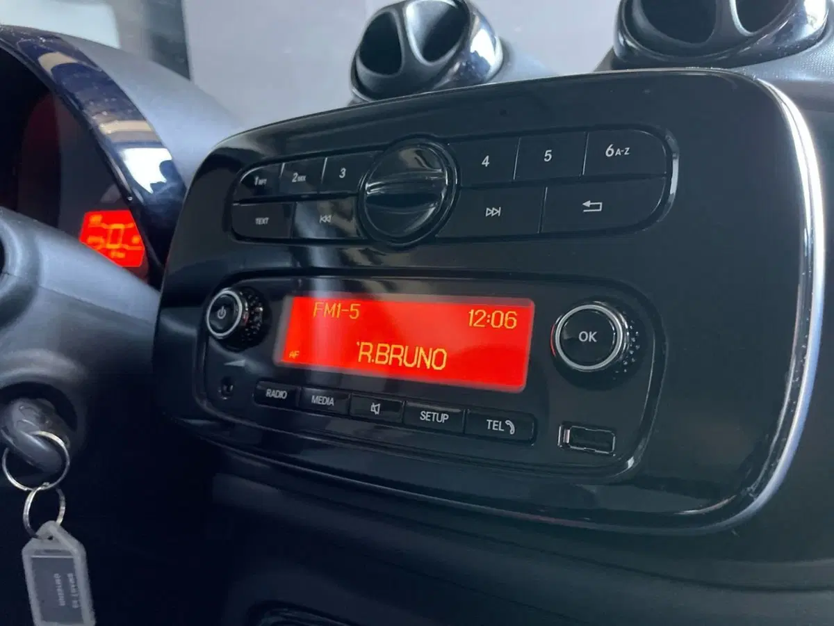 smart Fortwo usata a Bergamo (11)