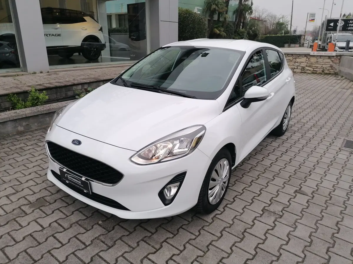 Ford Fiesta usata a Brescia (2)