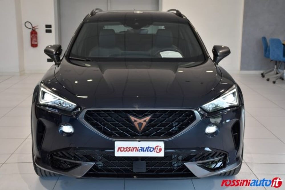 Cupra Formentor usata a Brescia (19)