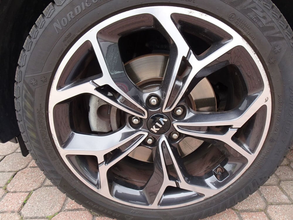 Kia Sportage usata a Treviso (9)