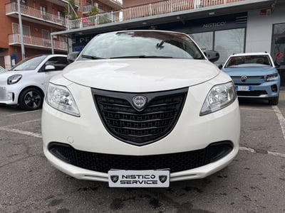 Lancia Ypsilon 1.3 MJT 16V 95 CV 5 porte S&amp;S Elefantino  del 2015 usata a Roma