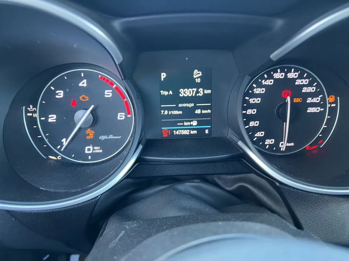 Alfa Romeo Stelvio usata a Cosenza (11)