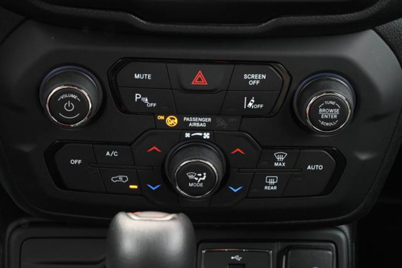 Jeep Renegade usata a Torino (19)