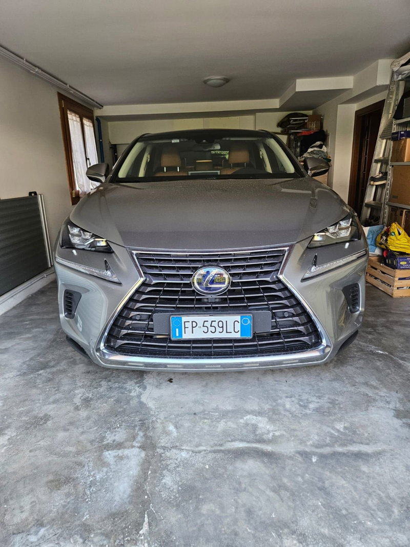 Lexus NX usata a Vicenza