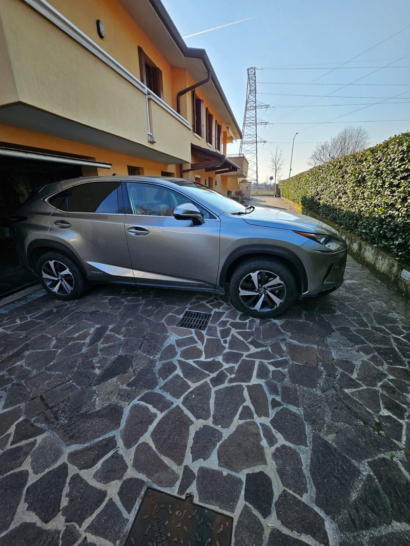 Lexus NX usata a Vicenza (2)