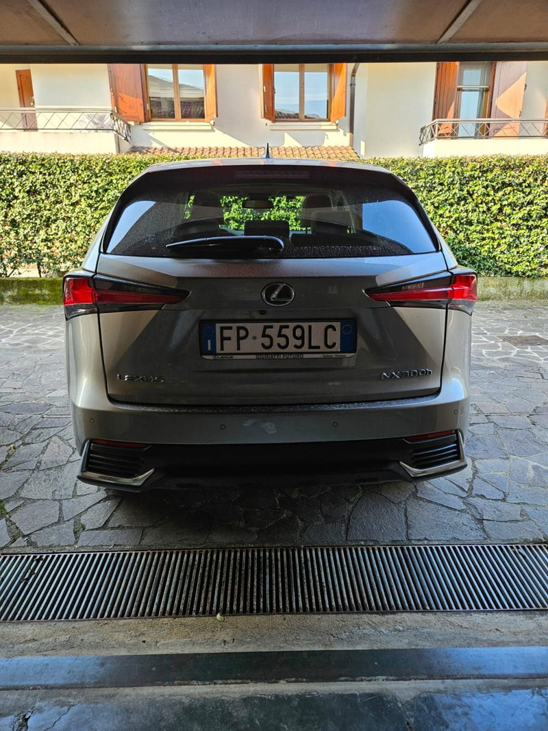 Lexus NX usata a Vicenza (3)