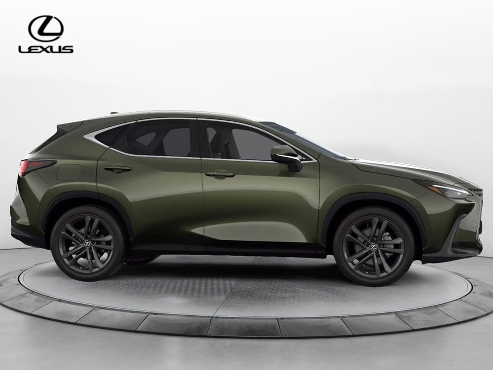 Lexus NX nuova a Cremona (6)