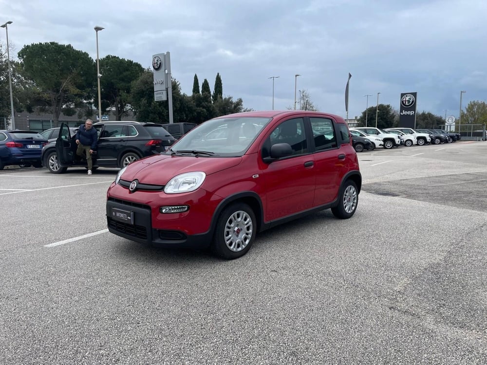 Fiat Panda usata a Ancona