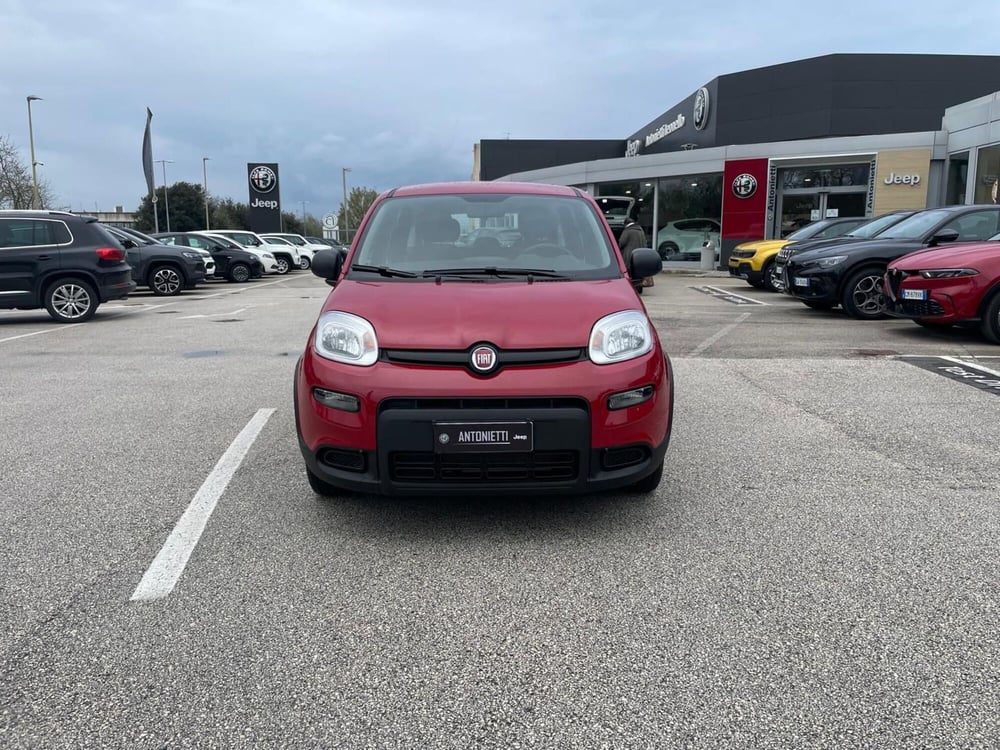Fiat Panda usata a Ancona (2)