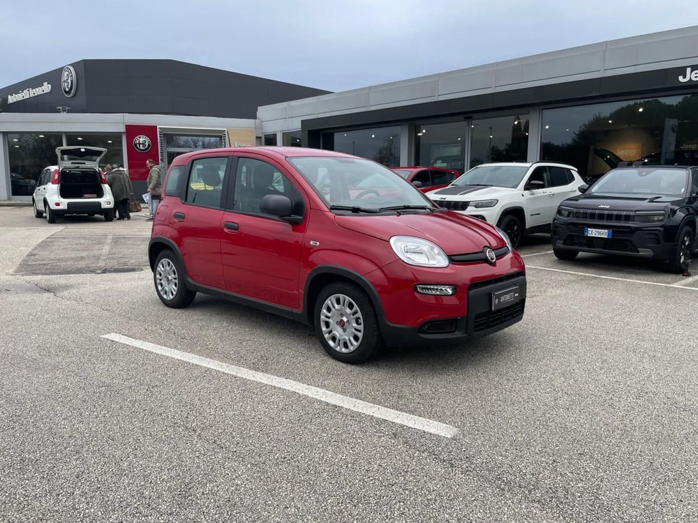 Fiat Panda usata a Ancona (3)