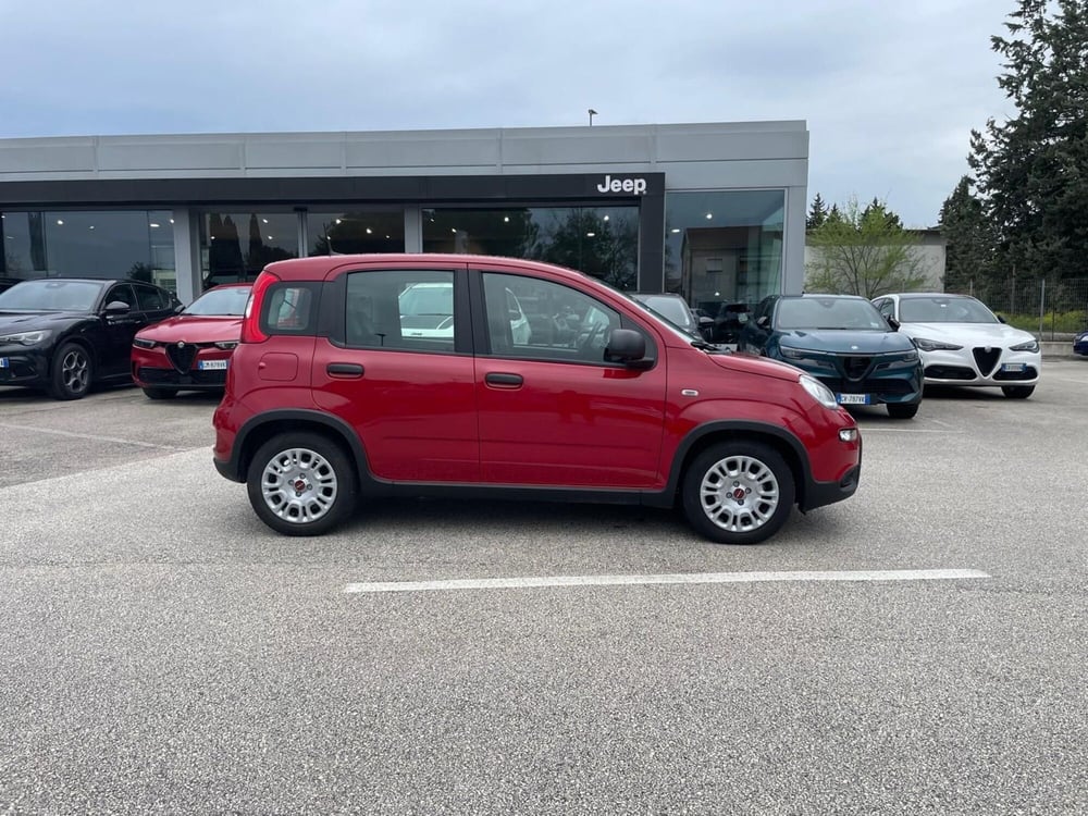 Fiat Panda usata a Ancona (4)