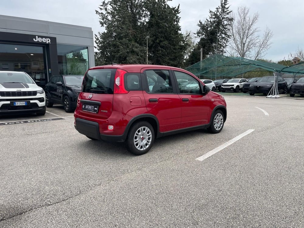 Fiat Panda usata a Ancona (5)