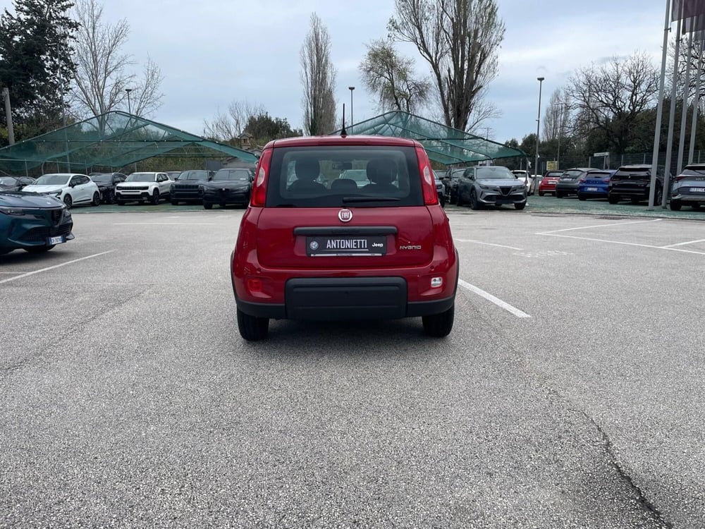 Fiat Panda usata a Ancona (6)