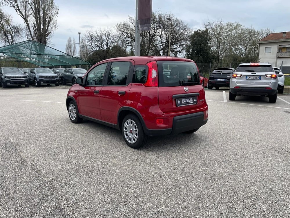 Fiat Panda usata a Ancona (7)