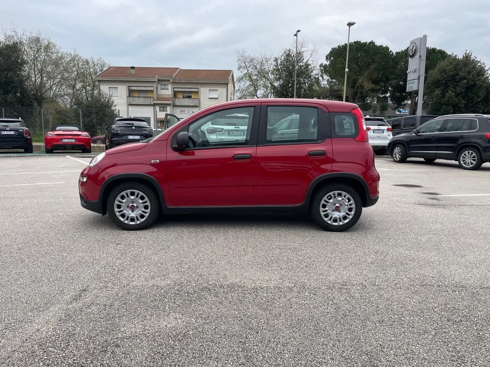 Fiat Panda usata a Ancona (8)