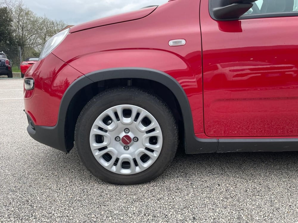 Fiat Panda usata a Ancona (9)
