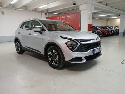 Kia Sportage 1.6 tgdi Business Gpl 2wd del 2023 usata a Torino